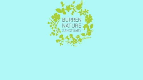 Burren Nature Sanctuary Featured Photo