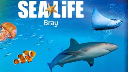 Sea Life Bray Featured Photo